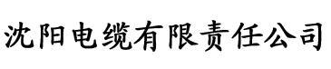 国产麻豆精品视频首页电缆厂logo